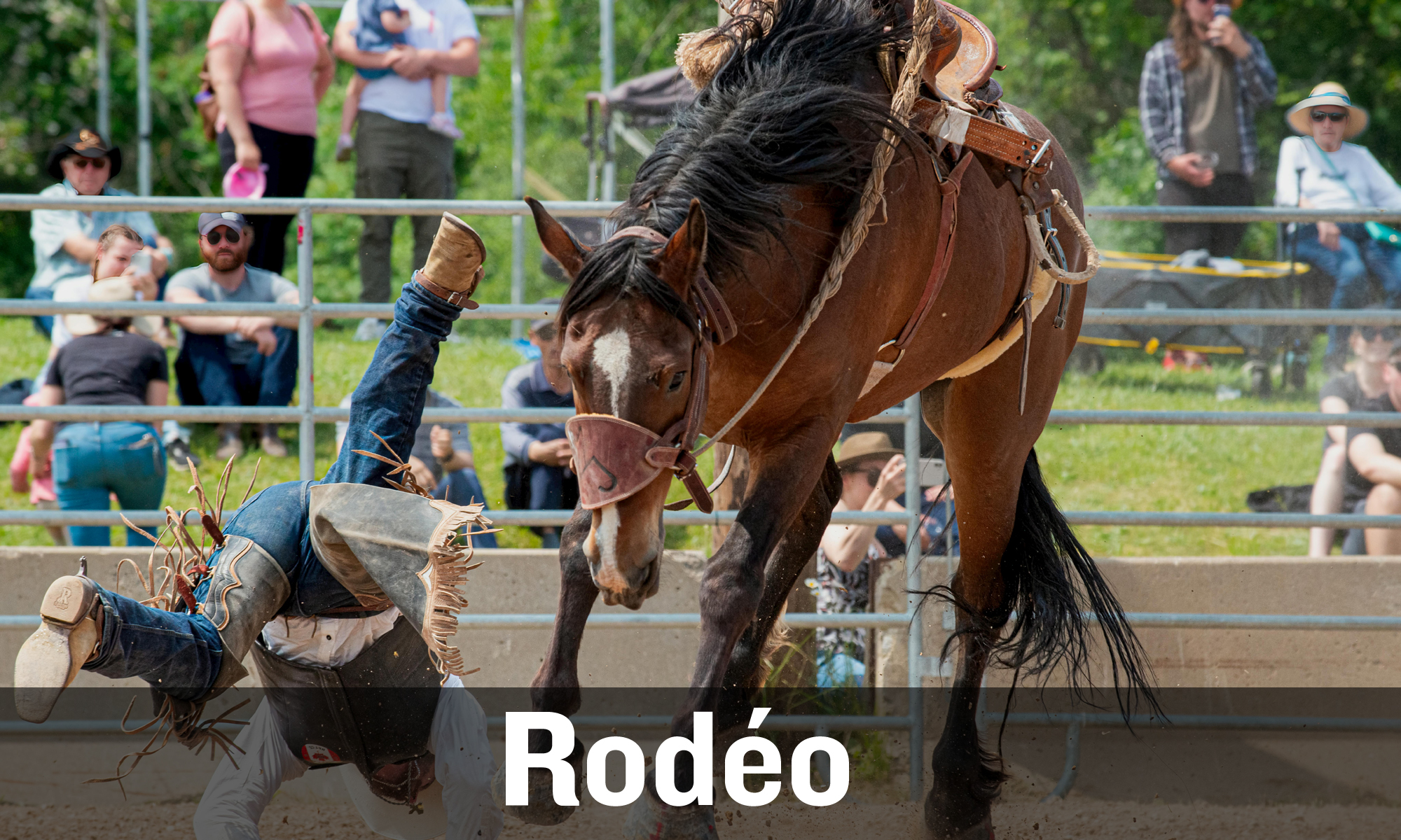 Rodéo